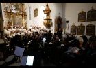 Koncert - M. Brdek