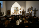Koncert - M. Brdek