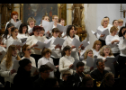 Koncert - M. Brdek
